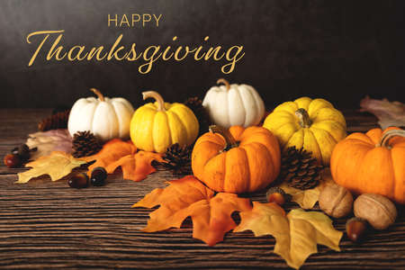 Happy Thanksgiving Day with pumpkin and nut on wooden tableの写真素材
