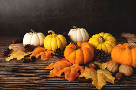 Happy Thanksgiving Day with pumpkin and nut on wooden tableの写真素材