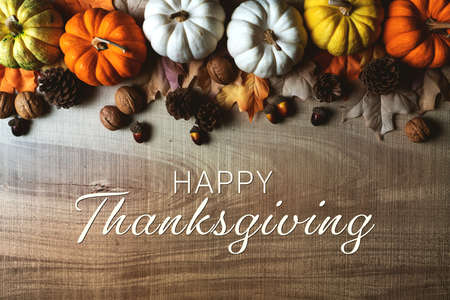 Happy Thanksgiving Day with pumpkin and nut on wooden tableの写真素材