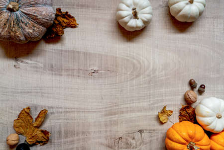 Happy Thanksgiving Day with pumpkin and nut on wooden tableの写真素材
