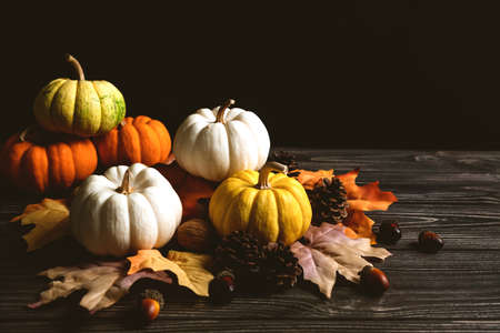 Happy Thanksgiving Day with pumpkin and nut on wooden tableの写真素材