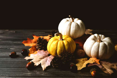 Happy Thanksgiving Day with pumpkin and nut on wooden tableの写真素材