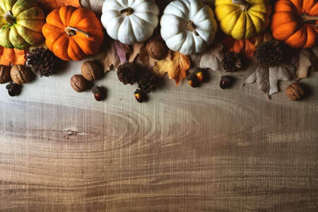Happy Thanksgiving Day with pumpkin and nut on wooden tableの写真素材