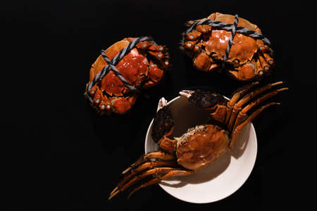 boiled Shanghai hairy crab or Chinese mitten crab (Eriocheir sinensis) with Chili and herb on black backgroundの写真素材