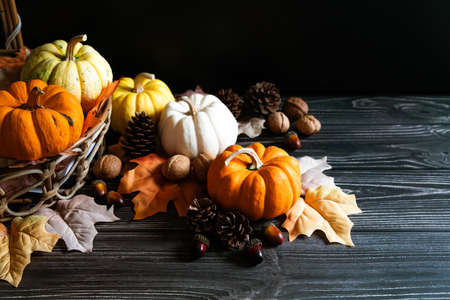 Happy Thanksgiving Day with pumpkin and nut on wooden tableの写真素材