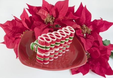 Ribbon candy on red plate with red poinsettias against white background の写真素材
