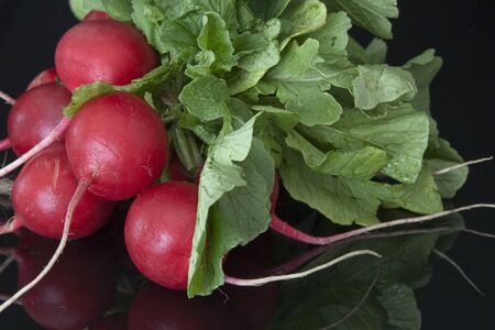 A Bunch of freshly pick red radishes with roots and leave on a black reflective mirror.の写真素材