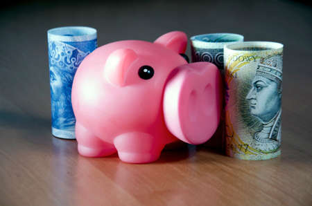 Polish banknotes with a piggy bankの写真素材