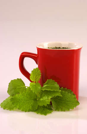 various types of herbal teasの写真素材