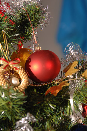 Christmas decorations on the tree, (Christmas)の写真素材