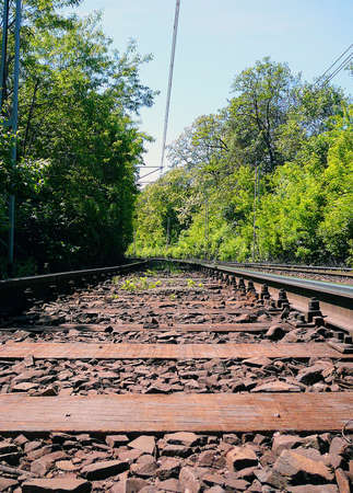 iron railway tracks in Masuriaの写真素材