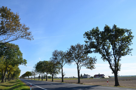 local road to Warmia, Poland