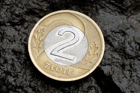 2 gold coin n black backgroundの写真素材