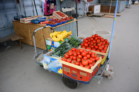 Kazakhstan. A market in Kazakhstan, Sharyn Canyon.のeditorial素材
