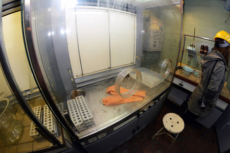 ALFA facility -Warsawのeditorial素材