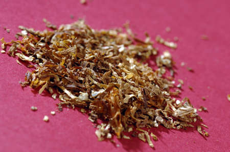 tobacco with paierosa on a red backgroundの写真素材