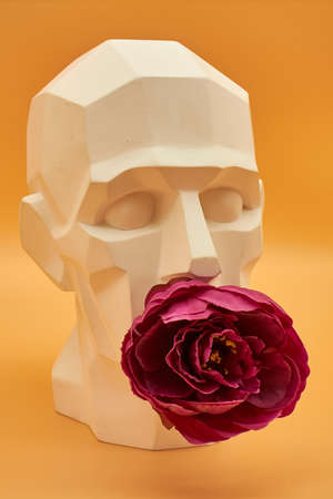 Plaster head of a man. statue. creative work of artの写真素材