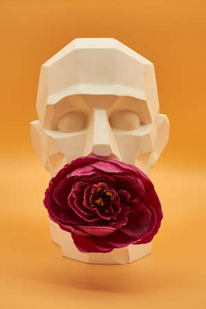 Plaster head of a man. statue. creative work of artの写真素材