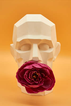 Plaster head of a man. statue. creative work of artの写真素材