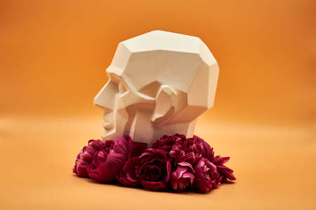 Plasterhead. Statue of a man on an orange background. Creative work of art. Plaster head. Statue of a man on an orange background. Creative work of art.の写真素材