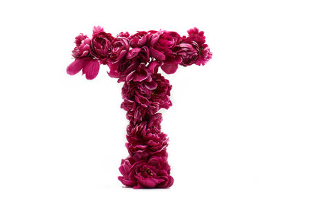 The letter T of the English alphabet made of peonies on a white background