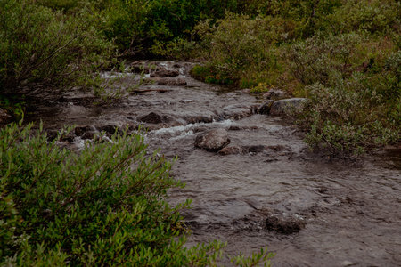 Turbulent river flows among the forest and mountains