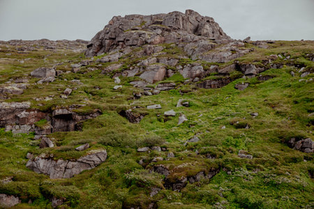 Nature of tundra mountains, moss and berries and rocksの写真素材
