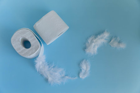 Soft toilet paper rolls on blue background with feathers. high quality photoの写真素材