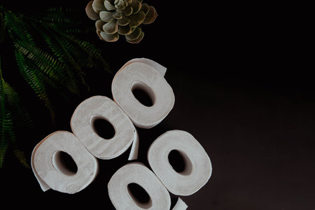 Stack of toilet paper rolls on black background. high quality photoの写真素材