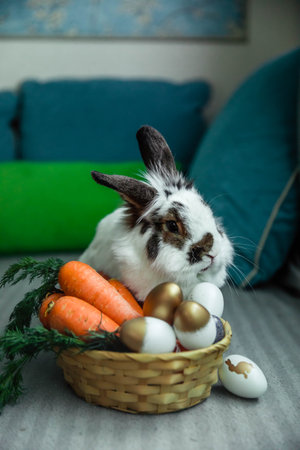 Easter fluffy bunny with carrots and eggs. high quality photoの写真素材