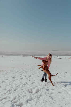 Girl plays with dog with stick in winterの写真素材