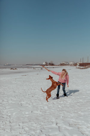 Girl plays with dog with stick in winterの写真素材