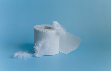 Soft toilet paper rolls on blue background with feathersの写真素材