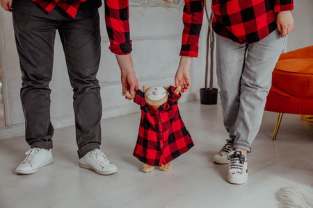 Family in identical clothes waiting for a childの写真素材