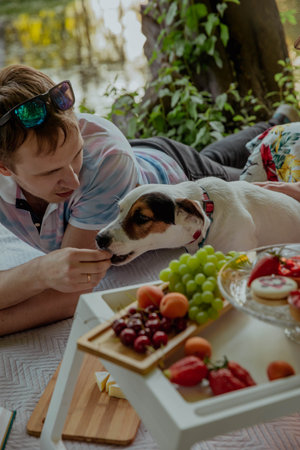 Man treats a dog in summer at picnicの写真素材
