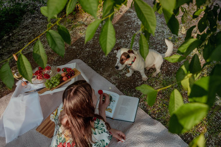 Girl treats a dog with strawberry at a picnicの写真素材