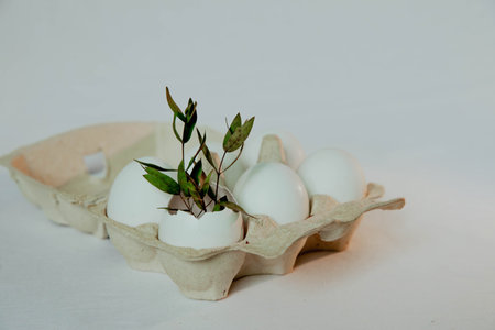 6 white eggs in a cardboard boxの写真素材