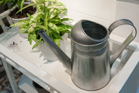 watering and green plant in a pot on a white deskの写真素材