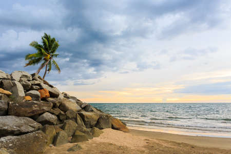 sunset on the beach with palm and nimbus of caribbean seaの写真素材