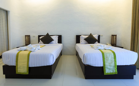 Modern bedroom interior with two bed