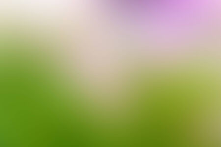 Abstract blurry of pink flower backgroundの写真素材