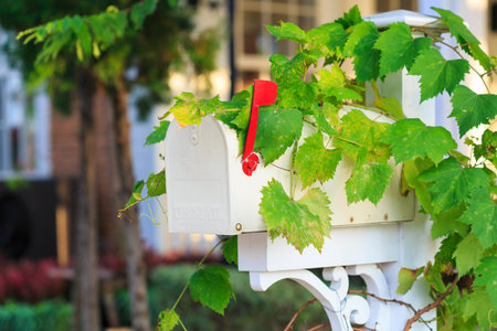 vintage white mailbox with green leaf in garden