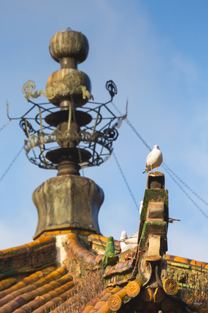 Seagull standing on roof in Yuantong temple, Kunming, Yunnan, Chinaの写真素材