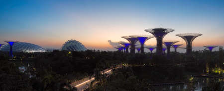 SINGAPORE - FEB 26, 2016: Panorama view of Supertree Grove at sunrise in Gardens by the Bay.のeditorial素材