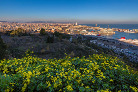 BARCELONA SPAIN - DECEMBER 31 2016: Barcelona city from Montjuic mountain at sunset in Catalonia, Spainの写真素材