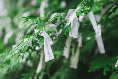 Japanese prayer paperの写真素材