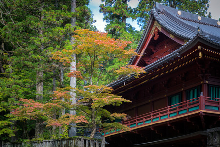 Rinnoji temple in autumn at Nikko, Tochigi, Japanのeditorial素材