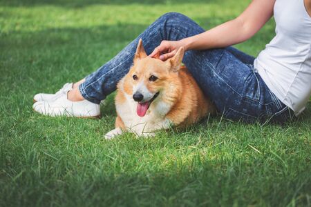 Portrait of asian woman with dog Welsh Corgi Pembroke in dog parkの写真素材