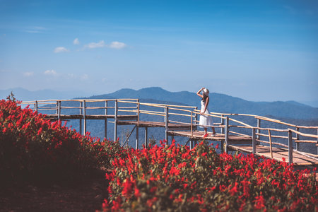 Winter travel relax vacation concept, Young happy traveler asian woman with dress sightseeing on red Celosia flowers field in garden at Mon Jam, Chiang Mai, Thailandの写真素材