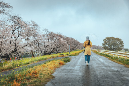 Travel spring season of Japanese flower concept, Happy traveler asian woman with umbrella sightseeing in pink sakura cherry blossom  tree and yellow rapeseed flower blooming with rain in kumagaya, Saitama, Japanの写真素材